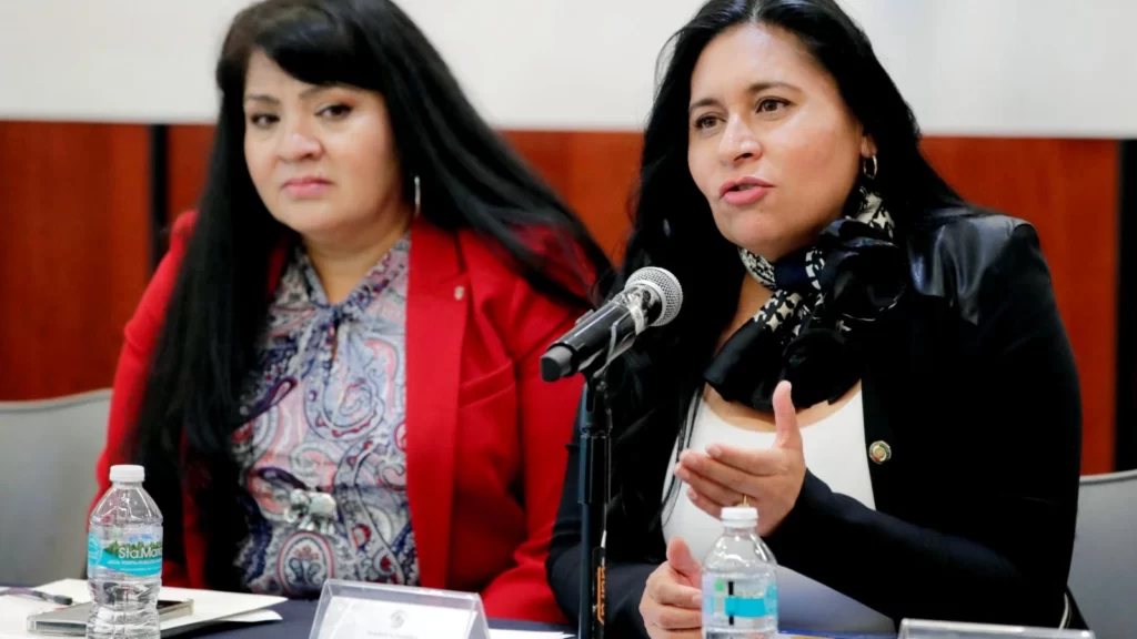Necesario, Proteger Derechos Financieros De  Adultos Mayores: Ana Lilia Rivera