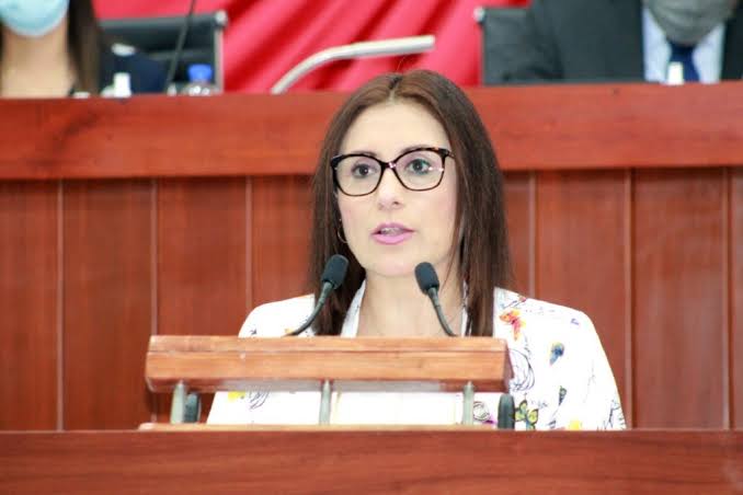 Propone Diputada Eliminar A Asociaciones Civiles, IES Y CEDH De La Ley De Entidades Paraestatales