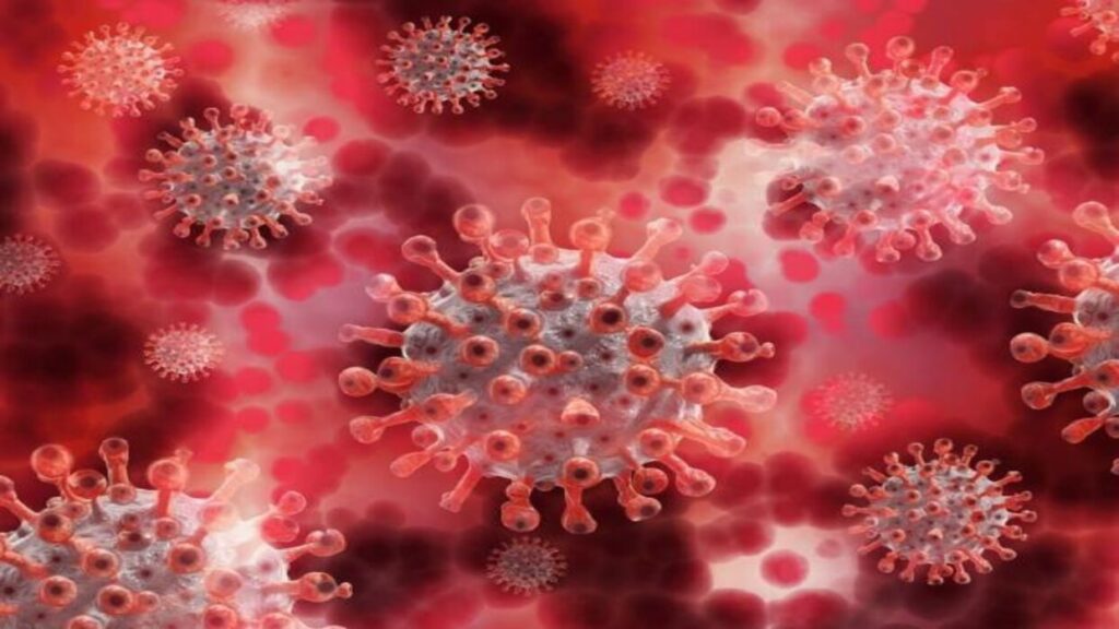 Preocupación Por “Pirola” Nueva Variante De Coronavirus
