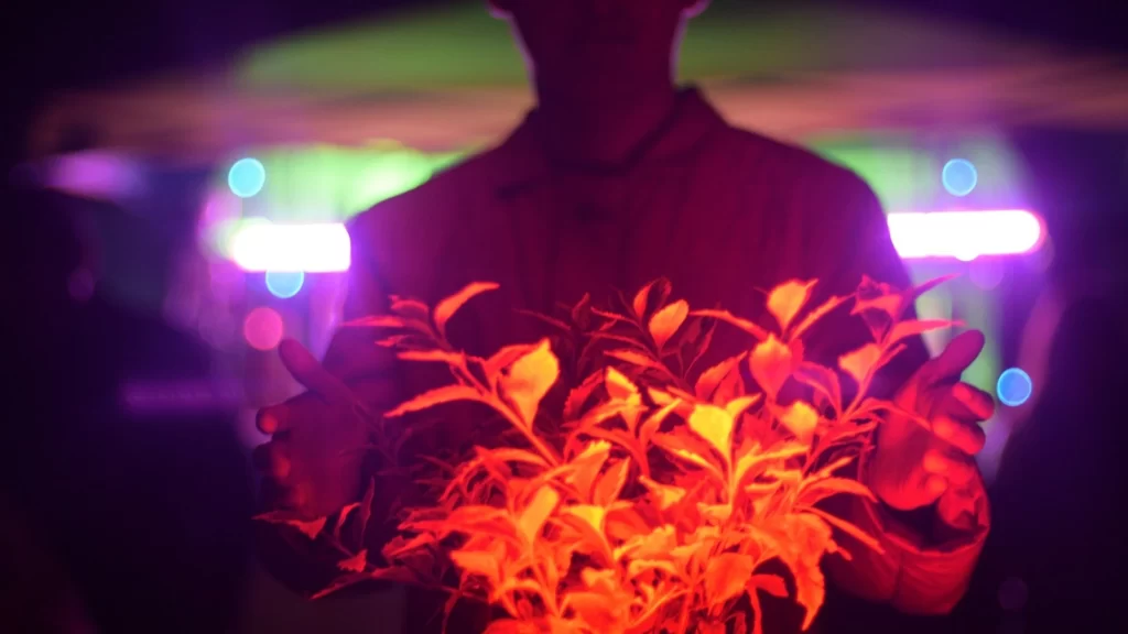 Vive una experiencia multisensorial con el “árbol de la vida” en Tlaxcala, la feria de ferias 2023.