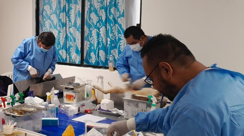 REALIZARÁ SECTOR SALUD JORNADA DE ESTERILIZACIÓN DE PERROS Y GATOS EN CHIAUTEMPAN Y TLAXCALA