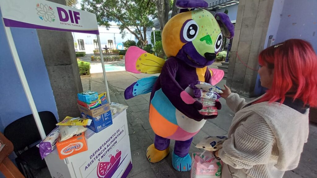 Llama SEDIF Tlaxcala A Solidarizarse Con Damnificados De Guerrero Por Huracán