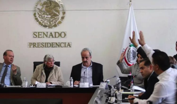 Comisión del Senado aprueba terna de AMLO para sustituir a Arturo Zaldívar