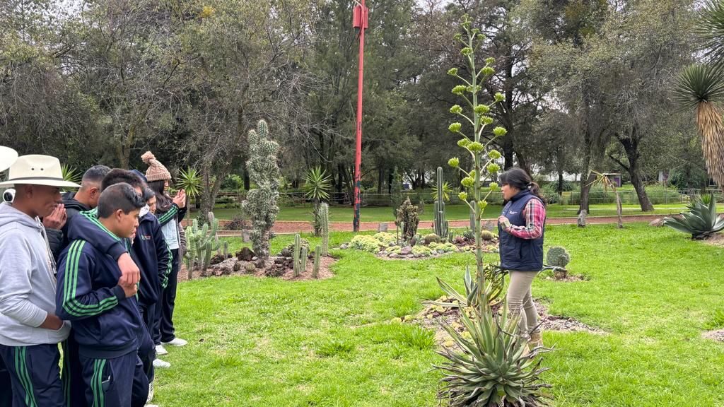 FOMENTA GOBIERNO DEL ESTADO EDUCACIÓN AMBIENTAL