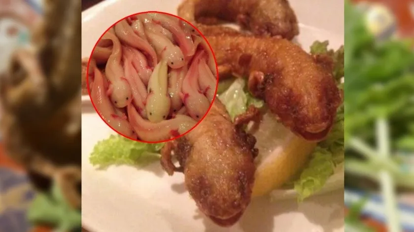 Comen ajolote en Japón, se viraliza restaurante que sirve especie protegida en México