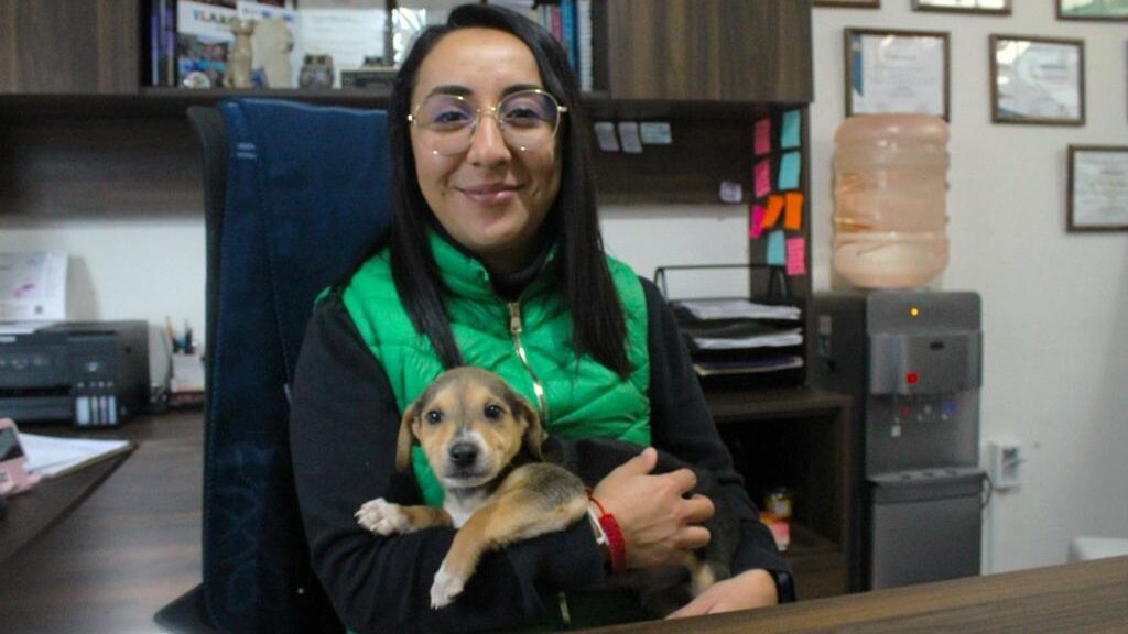 PIDEN A REYES MAGOS EVITAR REGALAR ANIMALES DE COMPAÑÍA