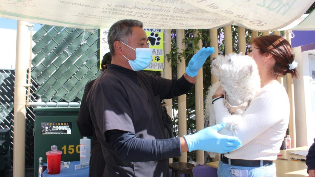 INICIA SECTOR SALUD CAMPAÑA DE VACUNACIÓN ANTIRRÁBICA CANINA Y FELINA