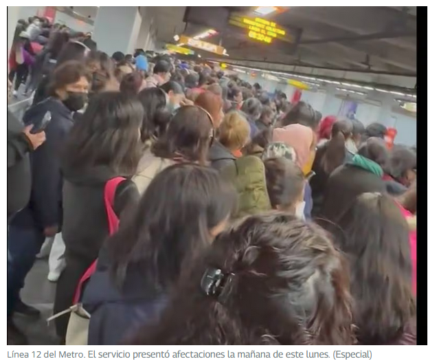 Rescate de perritos desquicia la Línea 12 del Metro este lunes