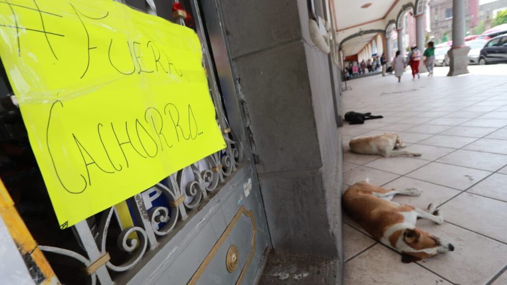 Se manifiestan habitantes de Zacatelco; exigen renuncia inmediata del alcalde
