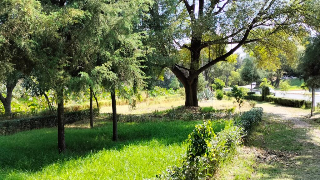 FOMENTA SMA LA VISITA Y CUIDADO DE ÁREAS NATURALES EN TEMPORADA VACACIONAL