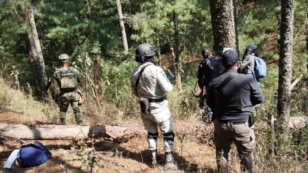 CUMPLIMENTA LA PFM ORDEN DE CATEO EN 79 HECTÁREAS DE BOSQUE EN TLAXCO, TLAXCALA