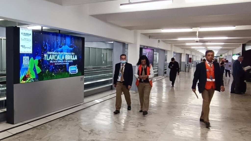 LLEGA TEMPORADA DE LUCIÉRNAGAS 2024 A LAS PANTALLAS DIGITALES DEL AEROPUERTO INTERNACIONAL DE LA CIUDAD DE MÉXICO