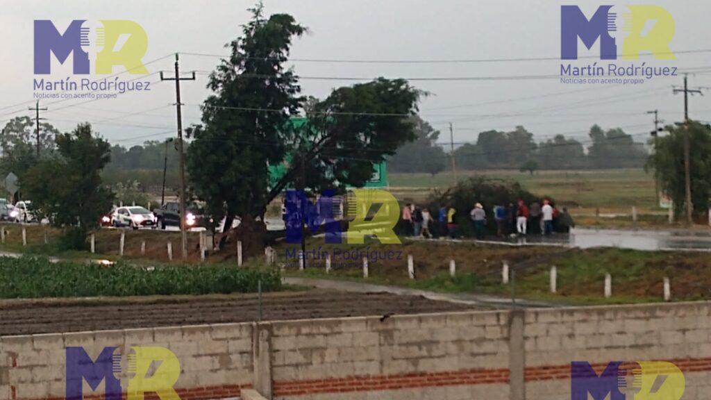 Caída de árbol en la autopista Texmelucan-Tlaxcala, a la altura de El Porvenir genera caos vial