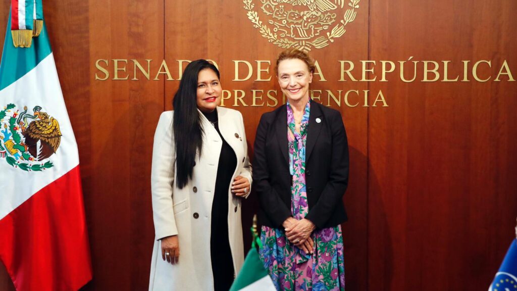 *México y Consejo de Europa comparten propósitos democráticos, afirma la presidenta del Senado*