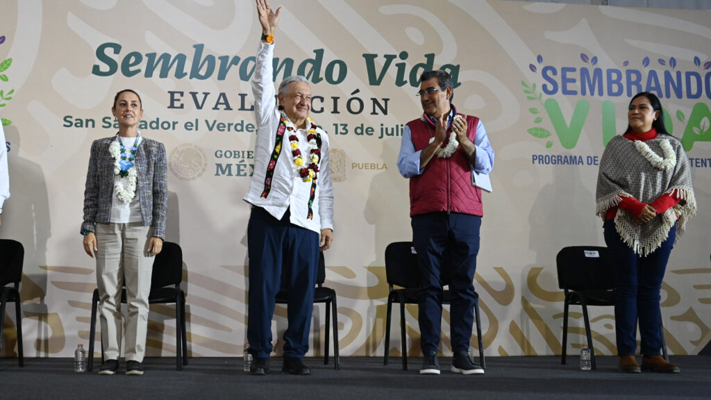 Sembrando Vida continuará en segundo piso de la Cuarta Transformación: presidente