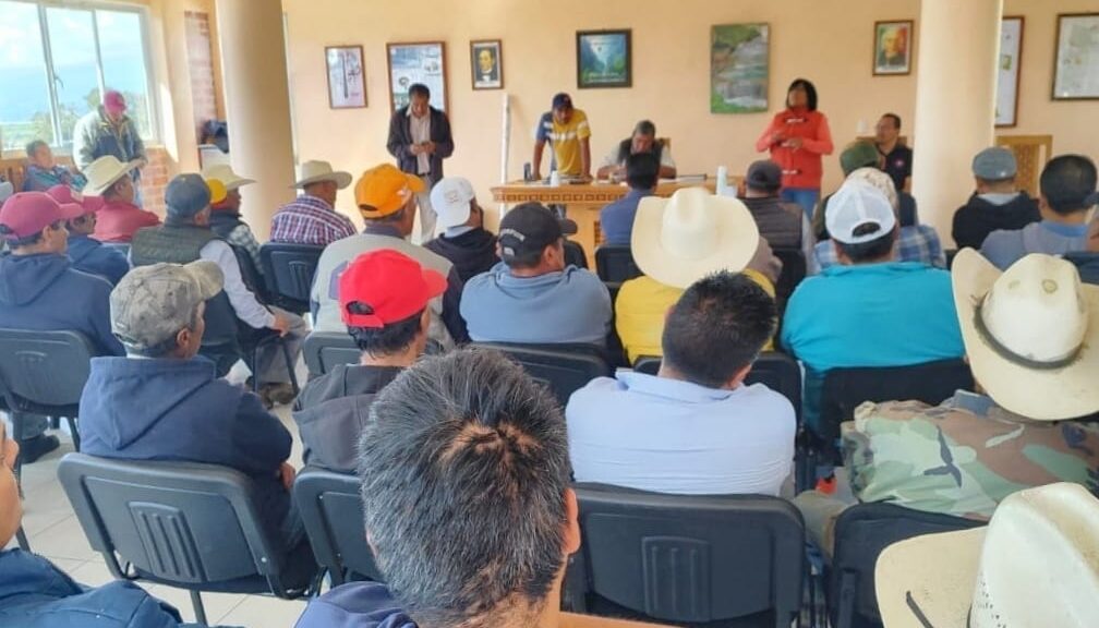 Colaborará UATx en el estudio y conservación de las Luciérnagas