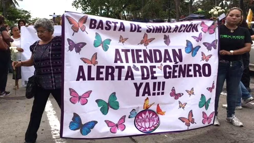 Gobiernos renuentes a emitir las alertas de género: experta