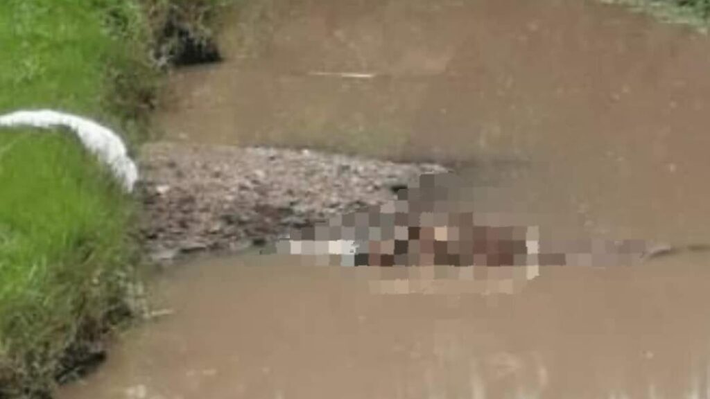En estado de descomposición y con huellas de violencia localizan a hombre en barranca de Hueyotlipan