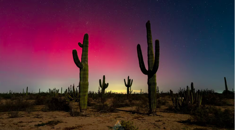 Así fueron las auroras boreales que iluminaron el norte de México a causa de una tormenta solar