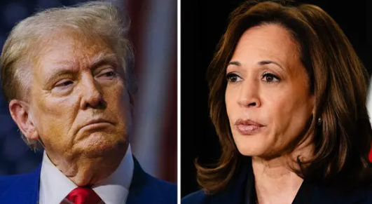 Kamala Harris felicita a Donald Trump por triunfo en elecciones y pide transferencia pacífica del poder