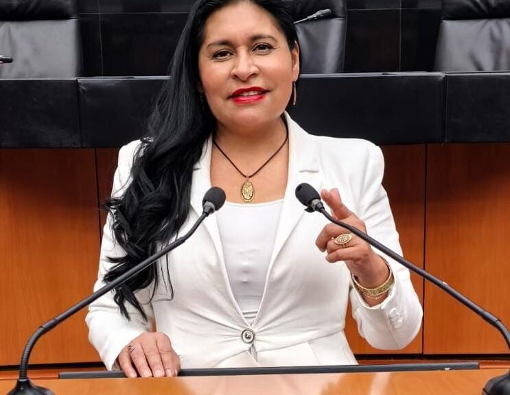 Apoya Ana Lilia Rivera acceso y uso seguro de Internet para Niñas, Niños y Adolescentes