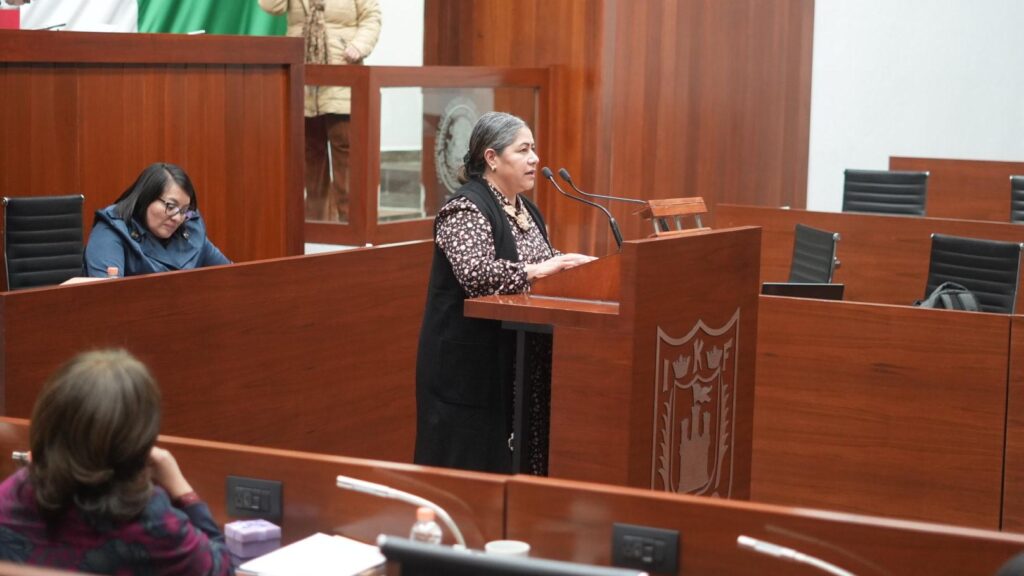 Desaparición del INAI y próximamente del IAIP, representa un retroceso de décadas en el ejercicio y tutela de DDHH
