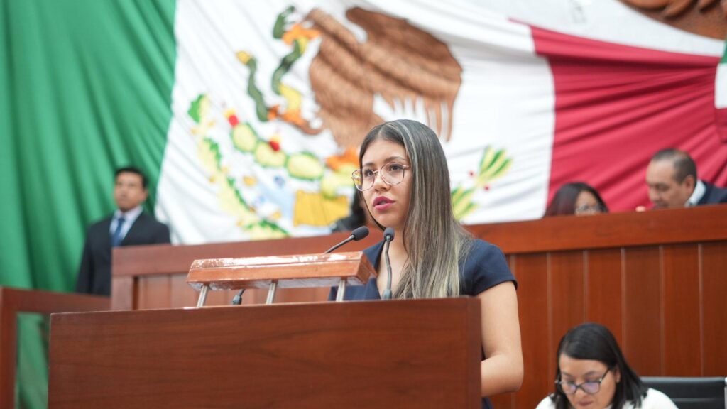 Propone diputada Anel Martínez exhortar a los Ayuntamientos para sustituir uso de pirotecnia por acciones lúdicas en festividades