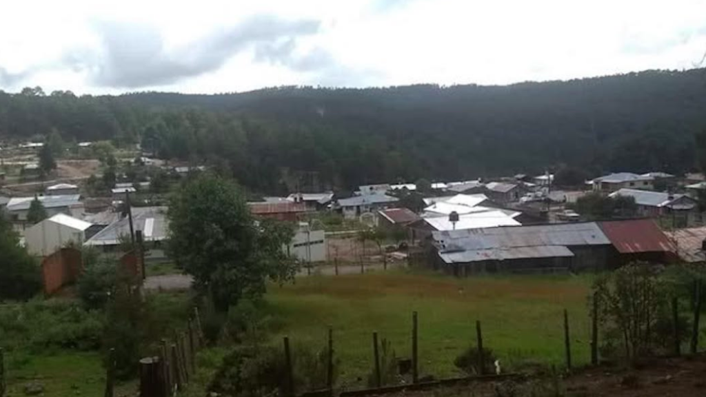 Cientos de familias de la sierra de Chihuahua dejan sus hogares víctimas del terror