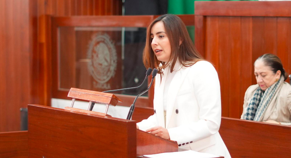 Pide diputada del PAN comparecencia del secretario de seguridad