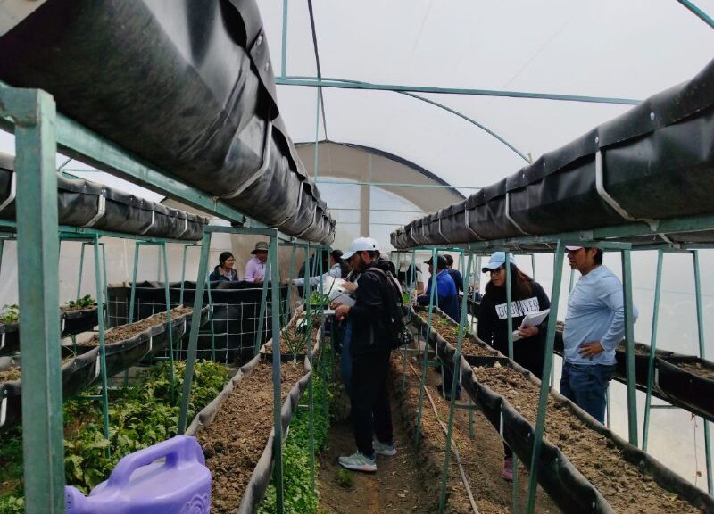 Estudiantes y docentes de Biología UATx atenderán problemas relacionados con la producción sostenible de tilapia en Tzompantepec  