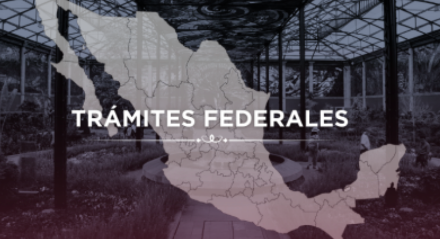Simplificación de trámites federales ha logrado que disminuyan de 342 a 151