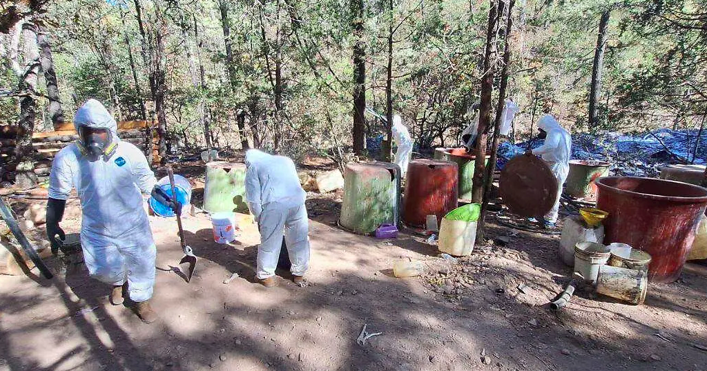 Aseguran mega narcolaboratorio de Los Chapitos en Zacatecas