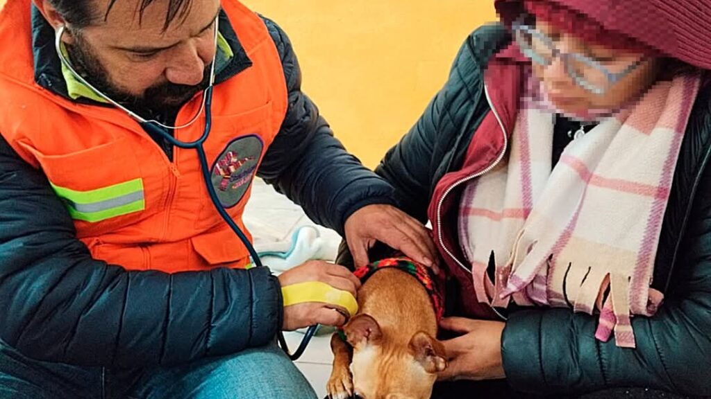 Chiautempan firma convenio para garantizar el trato digno de los animales