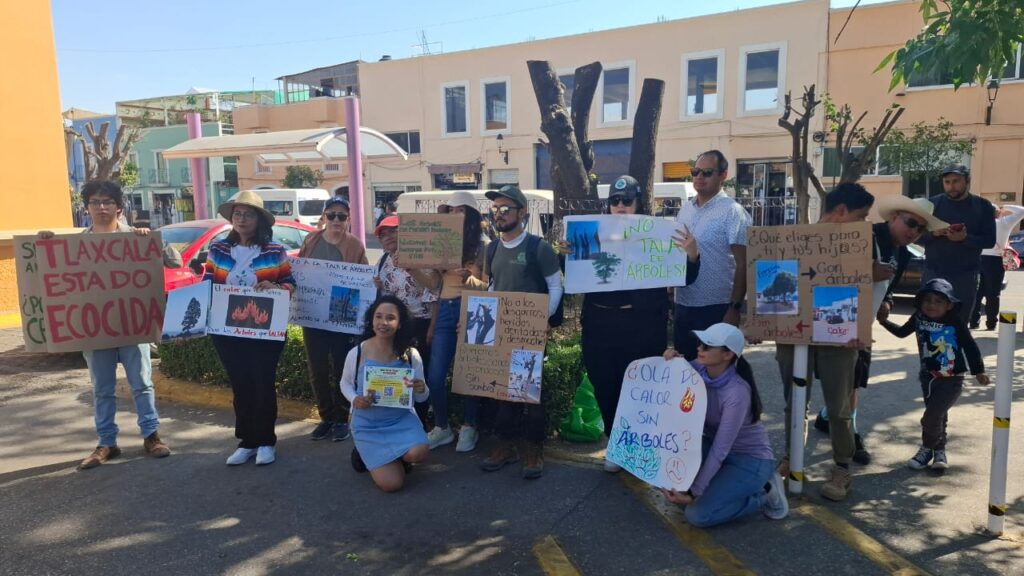 La poda de cinco árboles en Tlaxcala capital, es un posible ecocidio: ambientalistas