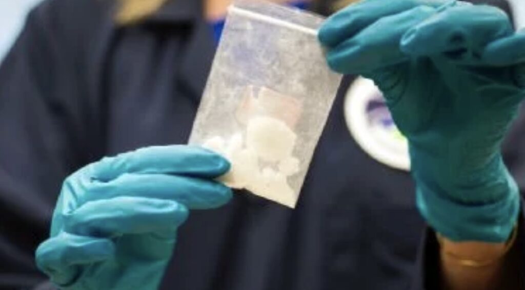 Cártel de Sinaloa y el CJNG se expanden a más continentes: DEA detecta narcotráfico en Nueva Zelanda y Australia
