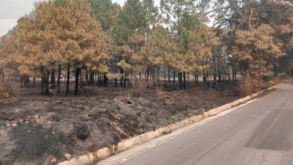 Tlaxcala reconoce colaboración con puebla para la atención del incendio forestal en la zona de Libres-Atltzayanca