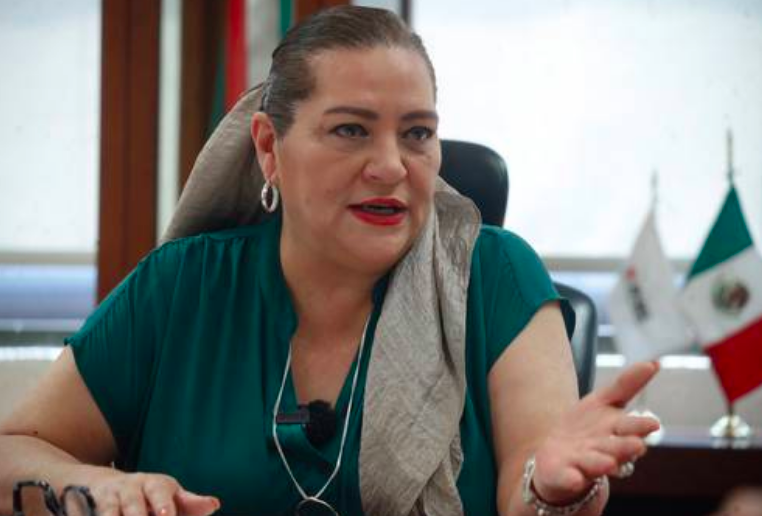 Baja afluencia a las urnas no será culpa del INE: Taddei
