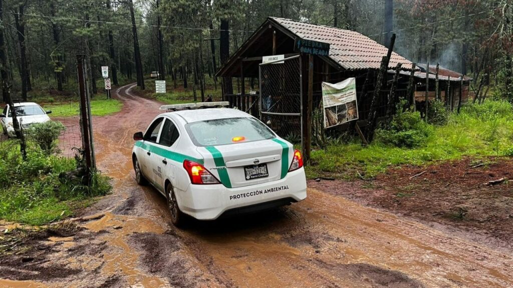 PROPAET REFUERZA VIGILANCIA EN CENTROS DE AVISTAMIENTO DE LUCIÉRNAGAS