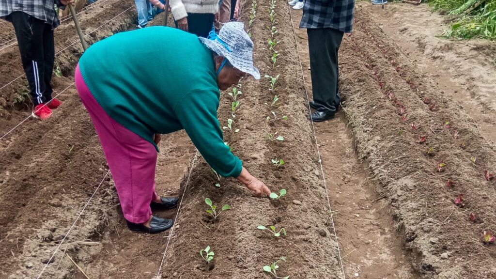 Chiautempan promueve producción local con huertos familiares