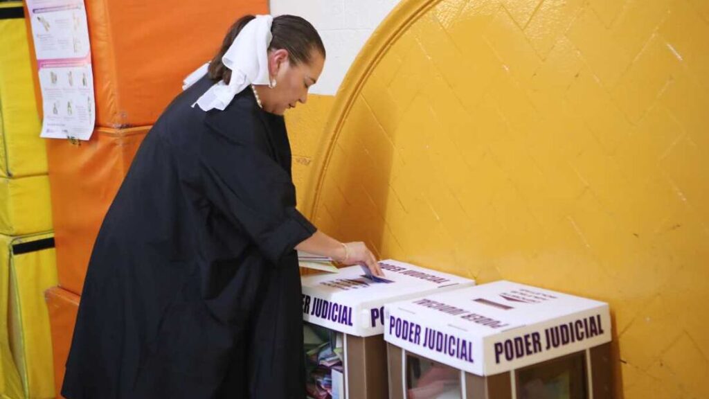 Elección judicial 2025: Guadalupe Taddei vota en jornada electoral; “llevé mis anotaciones”, dice