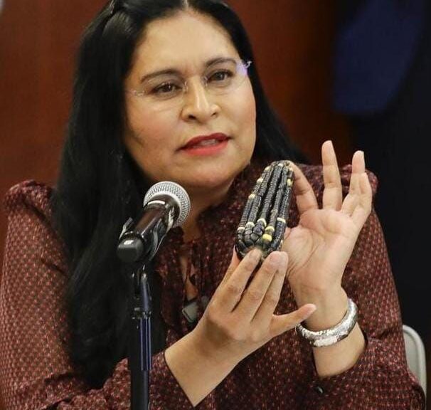 Hijos del maíz y ALRR celebran demanda legal que impide siembra de transgénicos en México