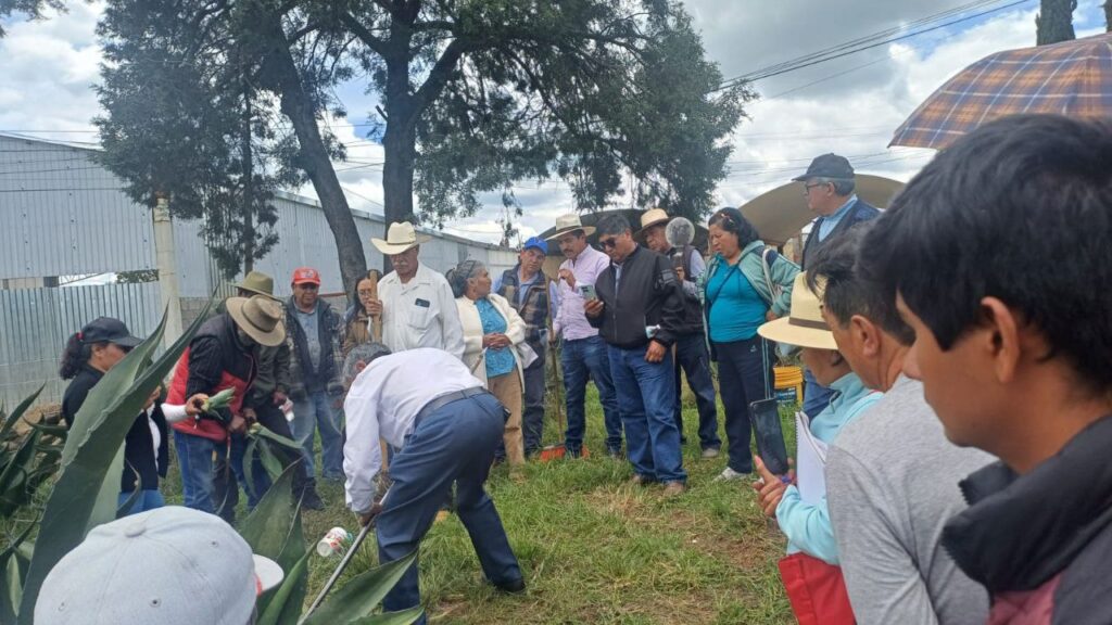 TLAXCALA BLINDA SUS AGAVES; SIA CAPACITA A PRODUCTORES PARA PREVENIR PLAGA DEL PICUDO