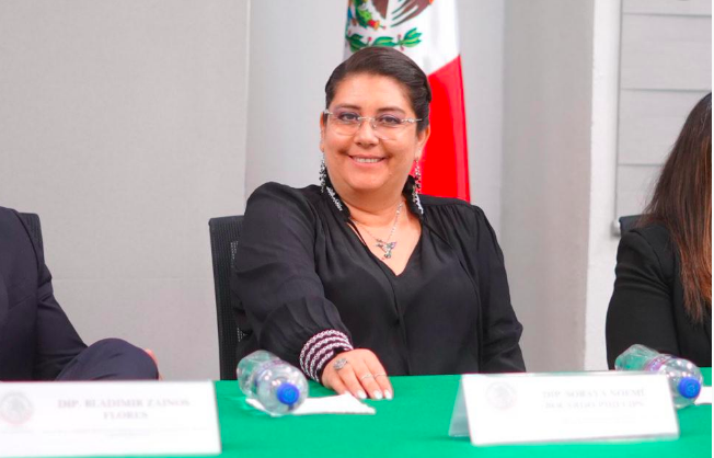 Rompe Soraya Bocardo con el PVEM; acusa amenazas del delegado Jaime Piñón