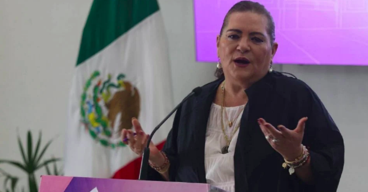 “No hay nada que obligue al INE a entregar el padrón electoral al gobierno”, asegura Guadalupe Taddei