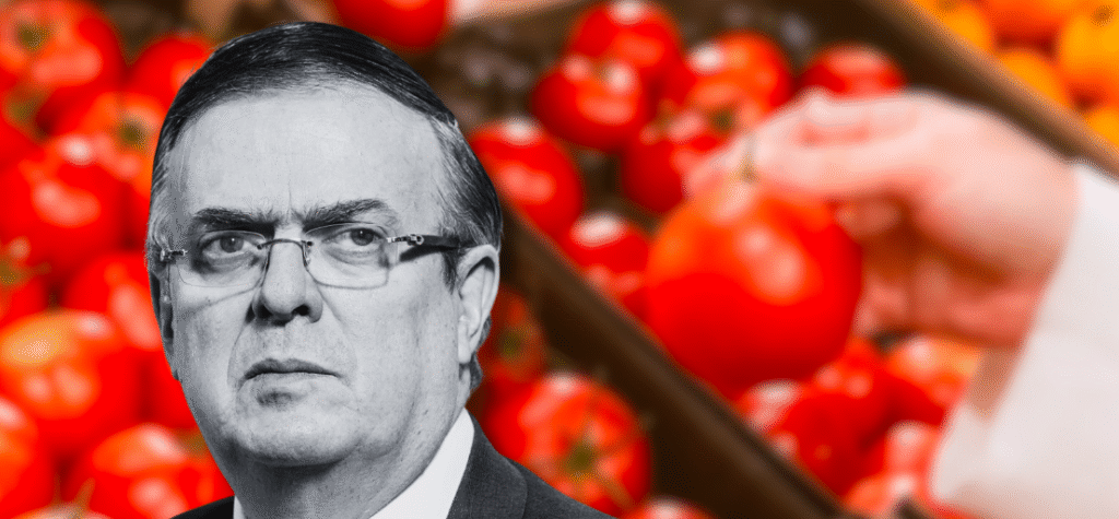 “Mientras se negocia arancel del 17.09% al jitomate, hay que pagarlo”: Ebrard