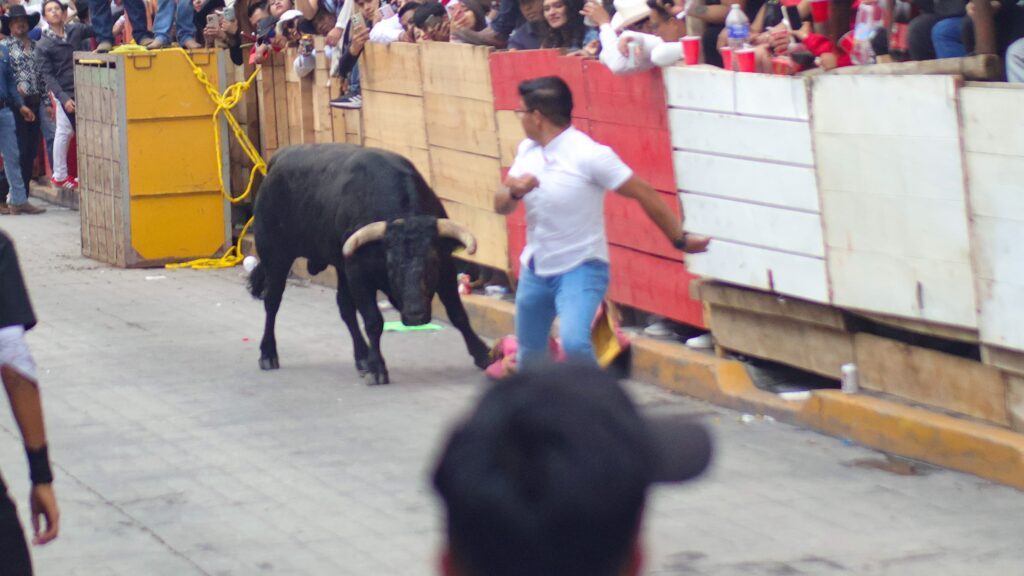 8 heridos y 1 de gravedad hasta el momento en la tradicional Huamantlada