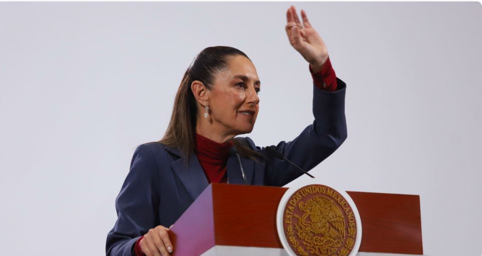 Expresidentes del IFE-INE pueden participar en la Reforma pero no son especiales: CSP