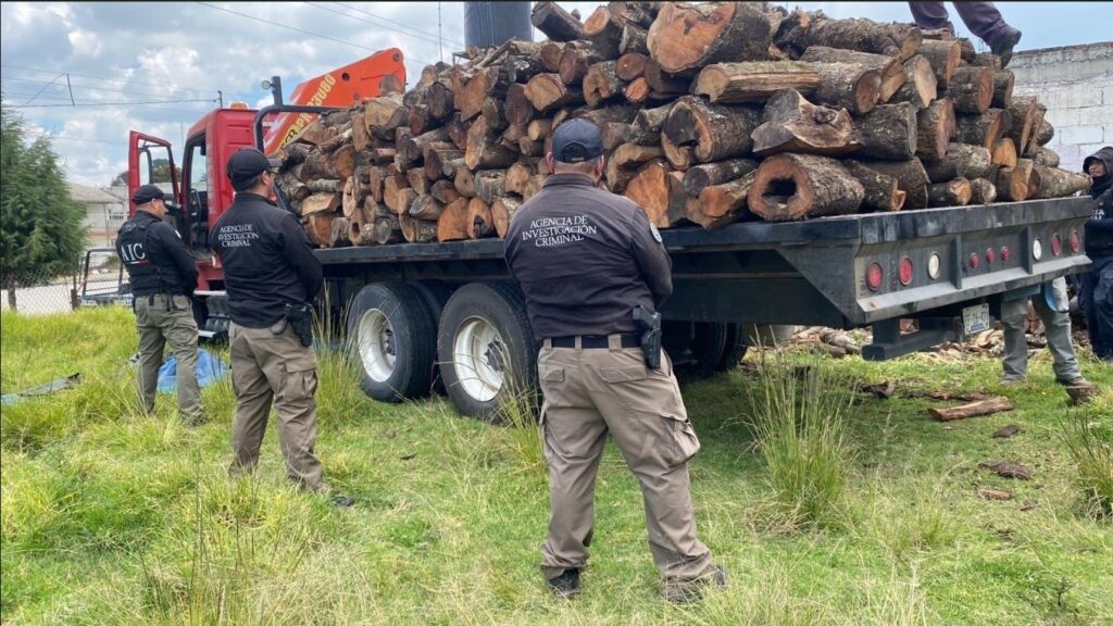 EN CATEO, LA PFM ASEGURA MÁS DE 15 TONELADAS DE MATERIAL MADERABLE EN TEOLOCHOLCO, TLAXCALA