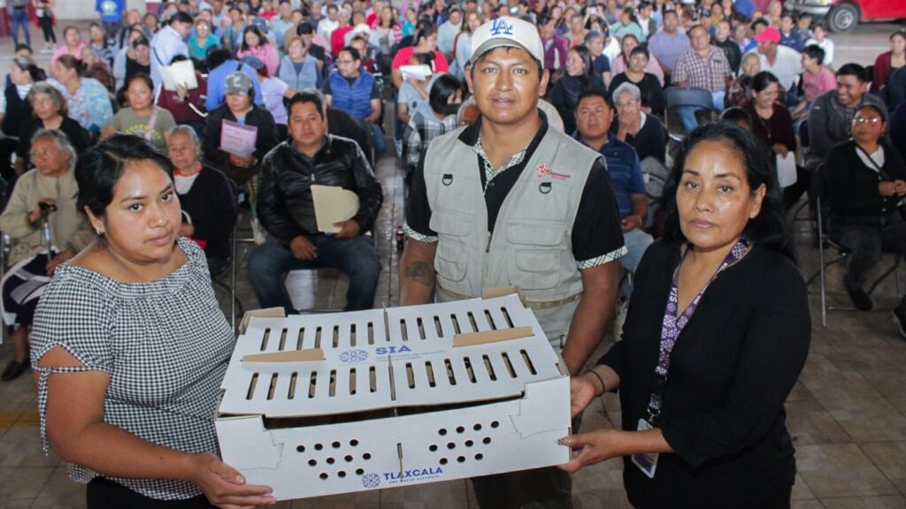 Gobierno de Blanca Angulo entrega más de 3700 aves de traspatio a familias chiautempenses