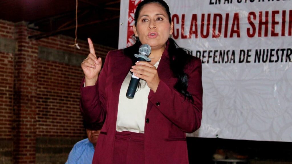 Es logro de la 4T el derecho al presupuesto a través de derechos sociales, afirma Ana Lilia Rivera